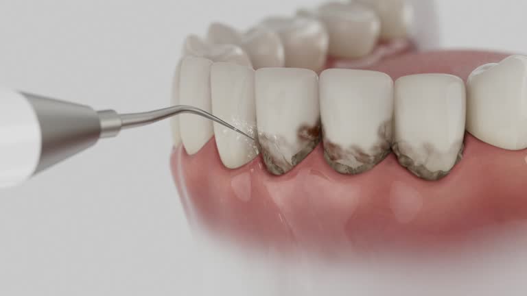 Reliable Dental contractor in Andrews, SC by Dentist Open Now